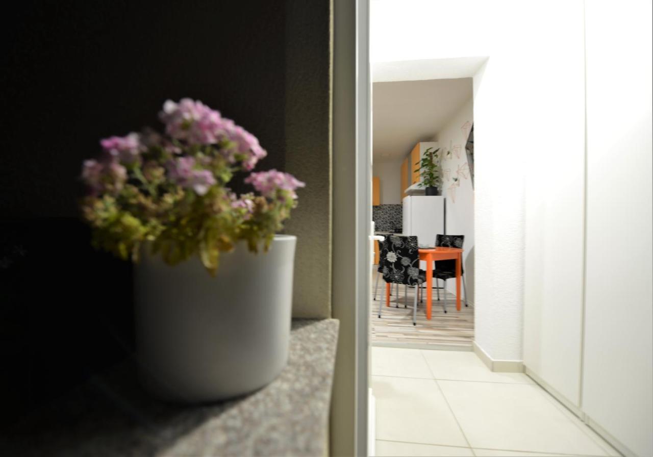 Pop&Rock Holiday House Zadar Exterior foto
